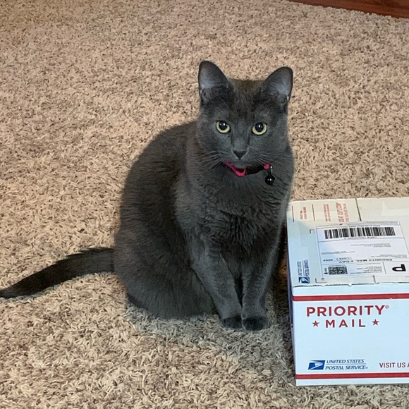 Meet your Posher, Tina - Picture 6 of 6